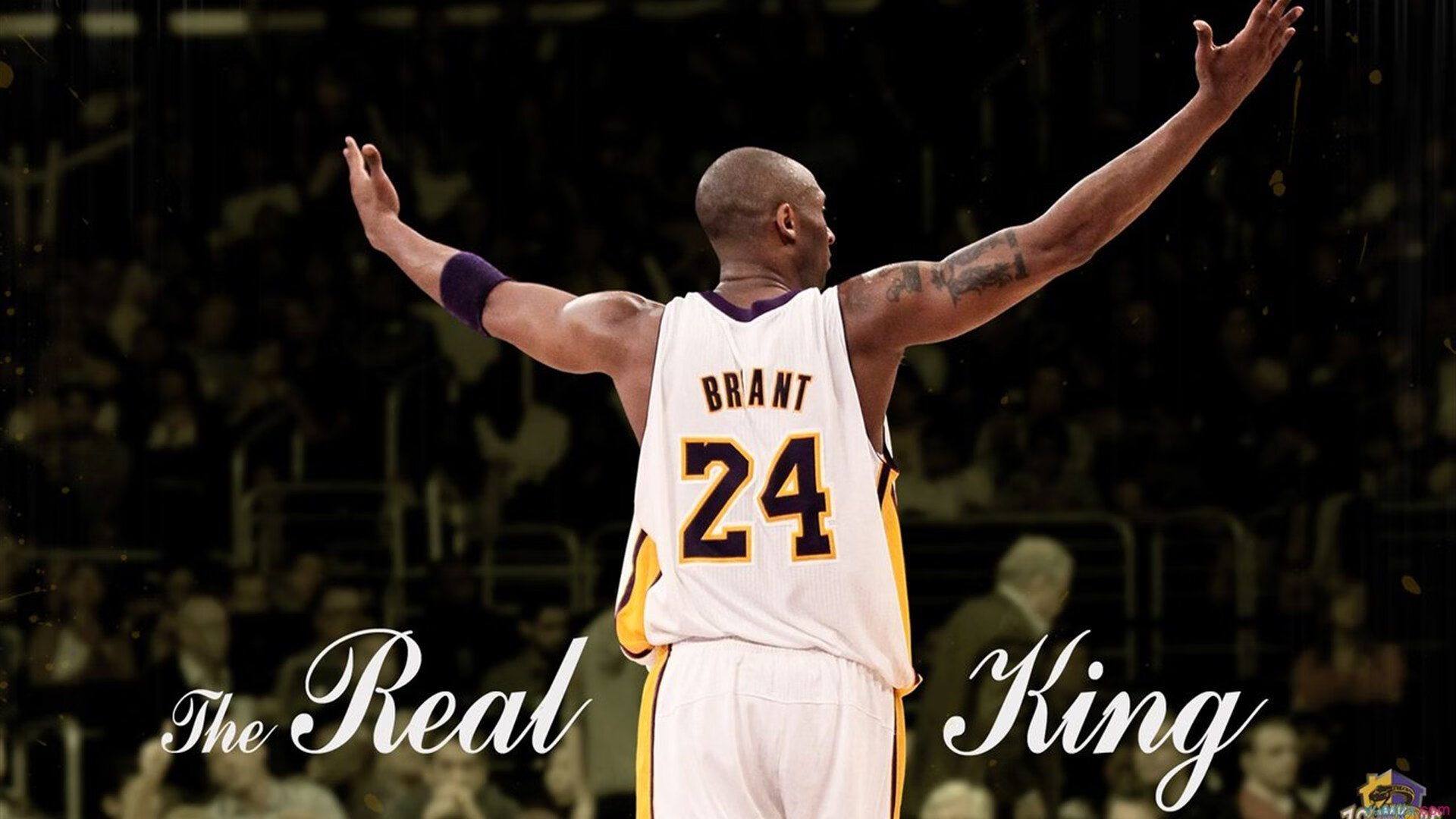 赛场变革:智能化与自动化的融合,自动化智能化系统